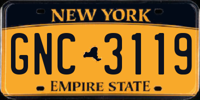 NY license plate GNC3119