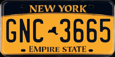 NY license plate GNC3665
