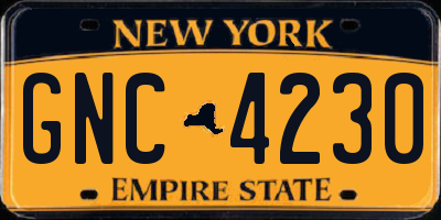 NY license plate GNC4230