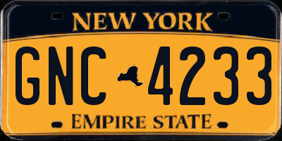 NY license plate GNC4233