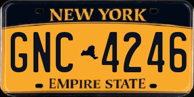 NY license plate GNC4246