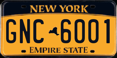 NY license plate GNC6001