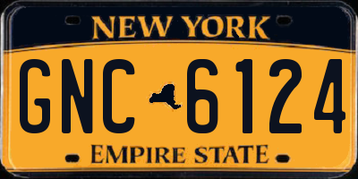 NY license plate GNC6124