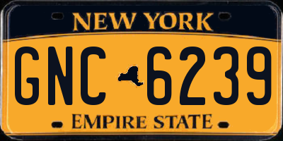 NY license plate GNC6239