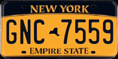 NY license plate GNC7559