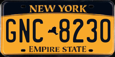 NY license plate GNC8230