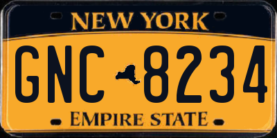 NY license plate GNC8234