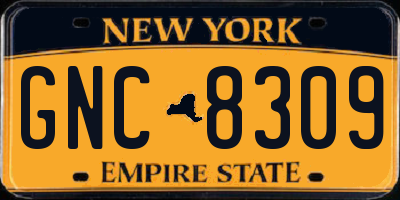 NY license plate GNC8309
