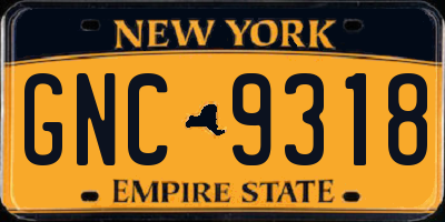 NY license plate GNC9318