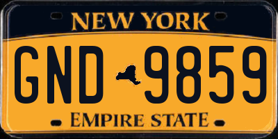NY license plate GND9859