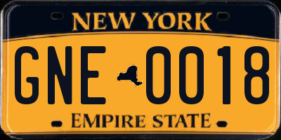 NY license plate GNE0018