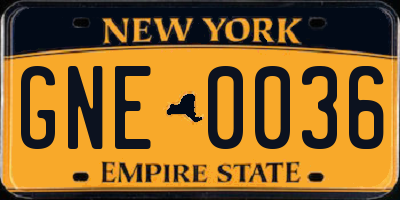 NY license plate GNE0036