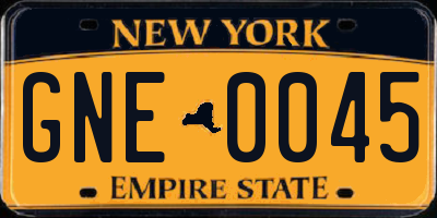 NY license plate GNE0045