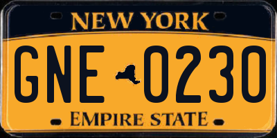 NY license plate GNE0230
