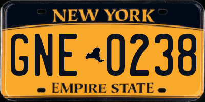 NY license plate GNE0238