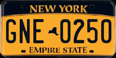 NY license plate GNE0250