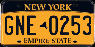 NY license plate GNE0253