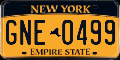 NY license plate GNE0499