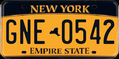 NY license plate GNE0542