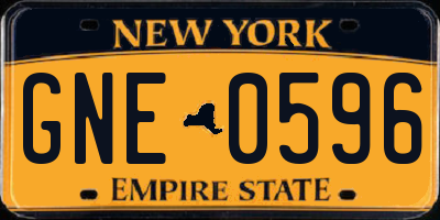 NY license plate GNE0596