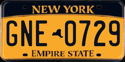 NY license plate GNE0729