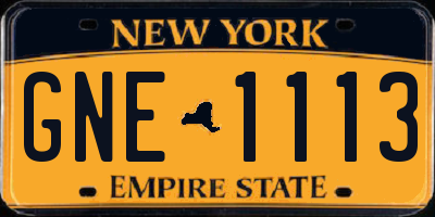 NY license plate GNE1113