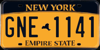 NY license plate GNE1141