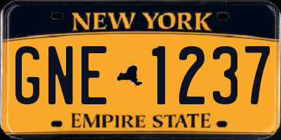NY license plate GNE1237
