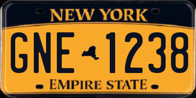 NY license plate GNE1238