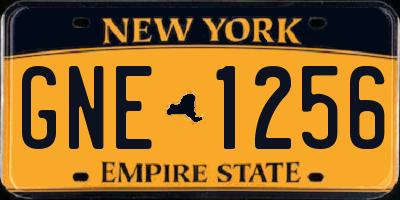 NY license plate GNE1256