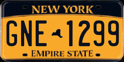 NY license plate GNE1299