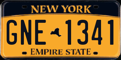 NY license plate GNE1341