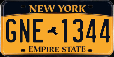 NY license plate GNE1344