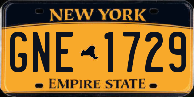 NY license plate GNE1729