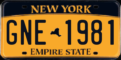 NY license plate GNE1981
