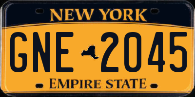 NY license plate GNE2045