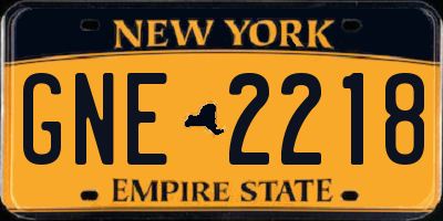 NY license plate GNE2218