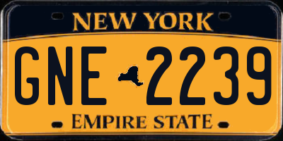 NY license plate GNE2239