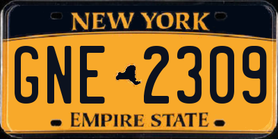 NY license plate GNE2309