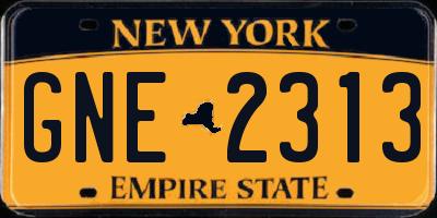 NY license plate GNE2313