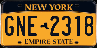 NY license plate GNE2318