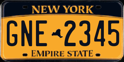 NY license plate GNE2345