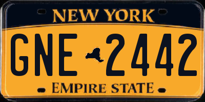 NY license plate GNE2442