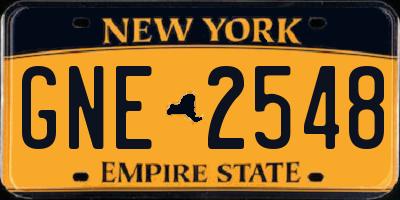 NY license plate GNE2548