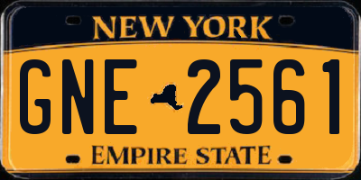 NY license plate GNE2561