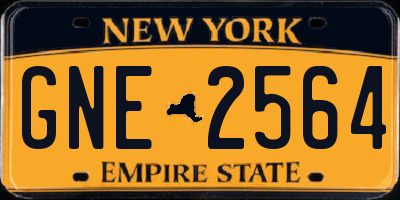 NY license plate GNE2564