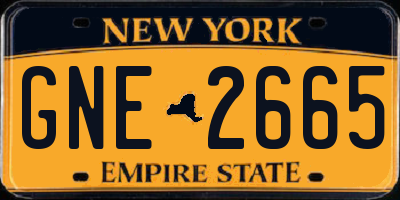 NY license plate GNE2665