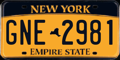 NY license plate GNE2981