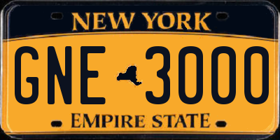 NY license plate GNE3000