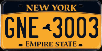 NY license plate GNE3003